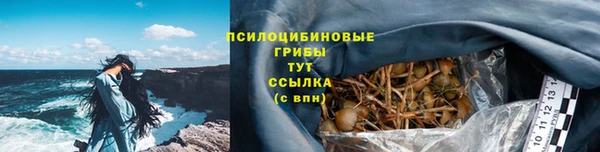 амф Арсеньев