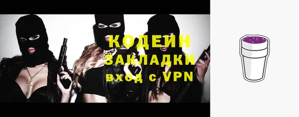 шишки Алзамай