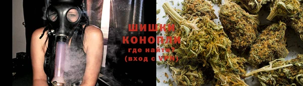 амф Арсеньев