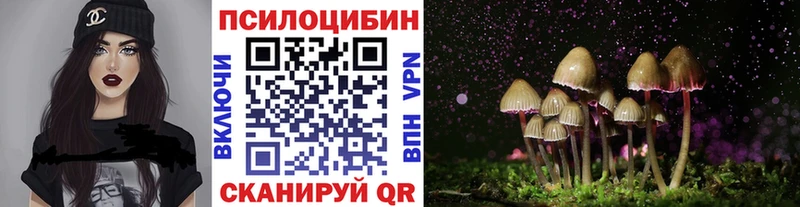 blacksprut tor  Абдулино  Галлюциногенные грибы Cubensis 